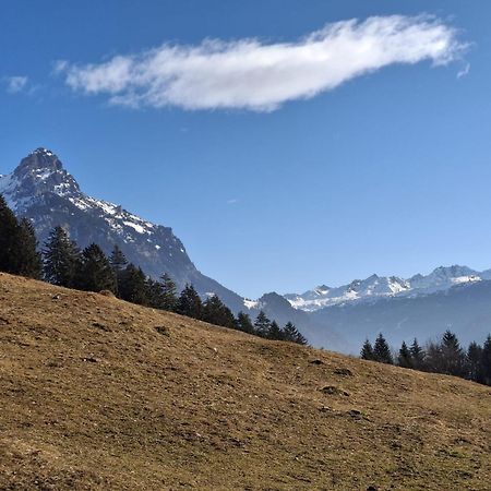 Baers Mountain Stay Ausserbraz Innerbraz Экстерьер фото
