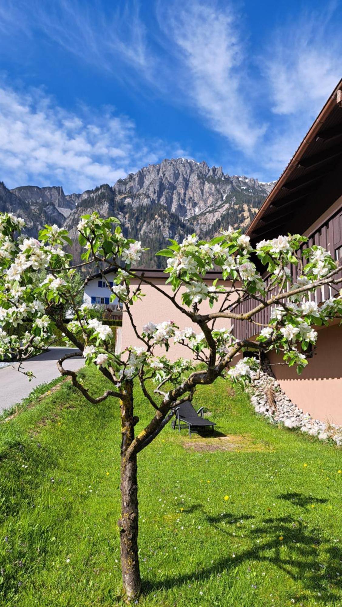 Baers Mountain Stay Ausserbraz Innerbraz Экстерьер фото