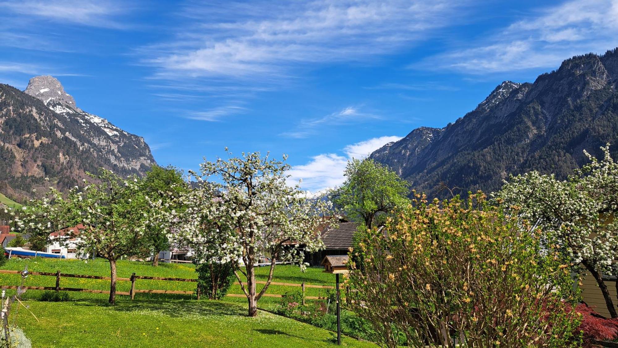 Baers Mountain Stay Ausserbraz Innerbraz Экстерьер фото