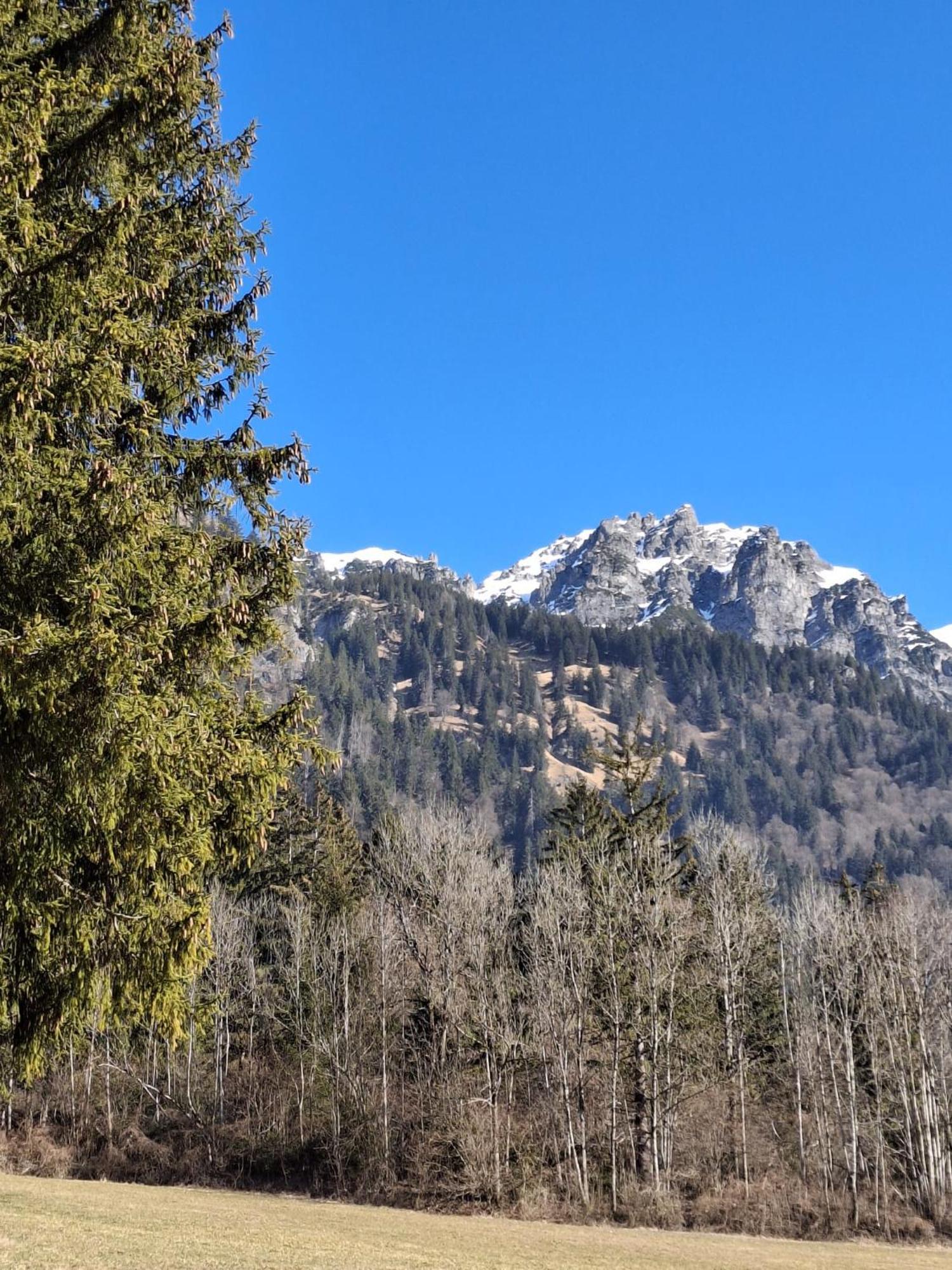 Baers Mountain Stay Ausserbraz Innerbraz Экстерьер фото