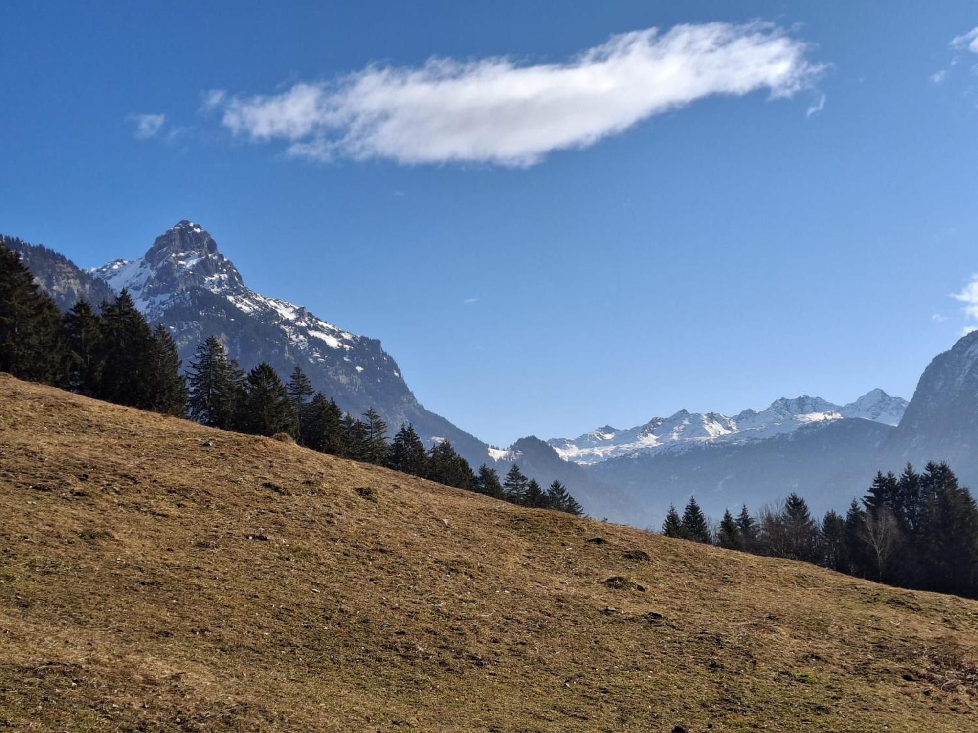 Baers Mountain Stay Ausserbraz Innerbraz Экстерьер фото